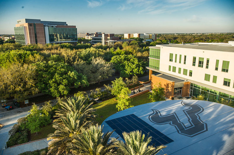 Medium university of south florida second kalam fellow