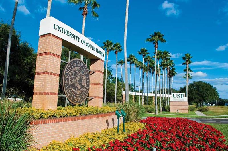 Medium usf campus sign